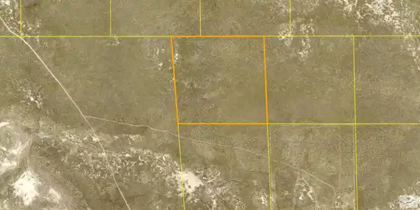 Image 4: Photo 4