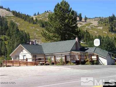 11000 Mount Rose Highway