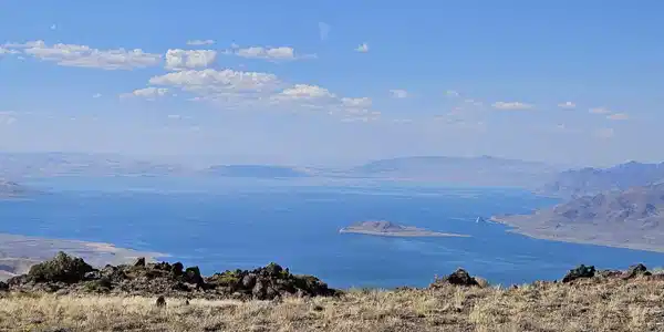 Image 3: Photo 3