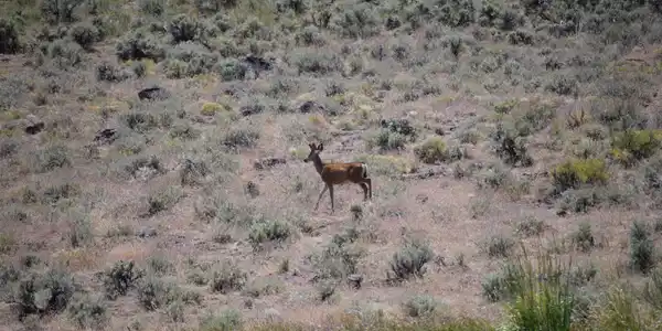 Image 4: 2024-06-18 11.16.20