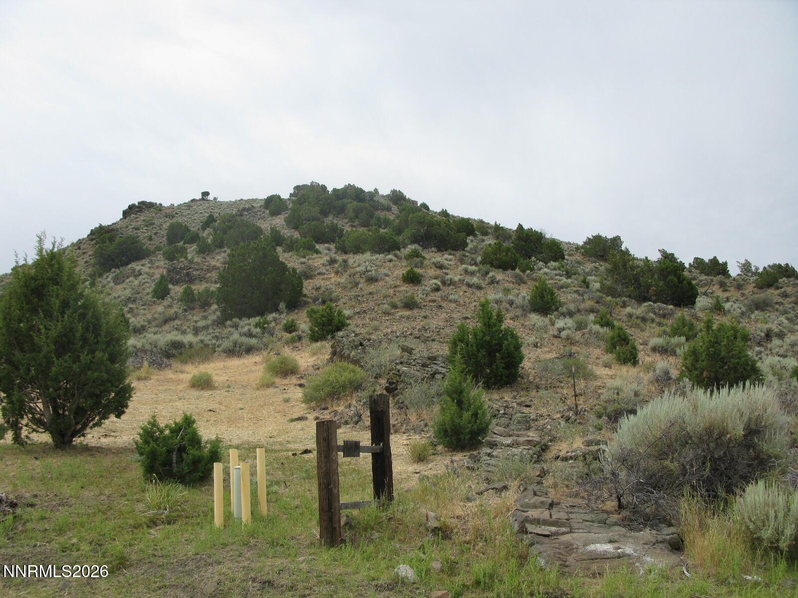 Image 2: IMG_0154