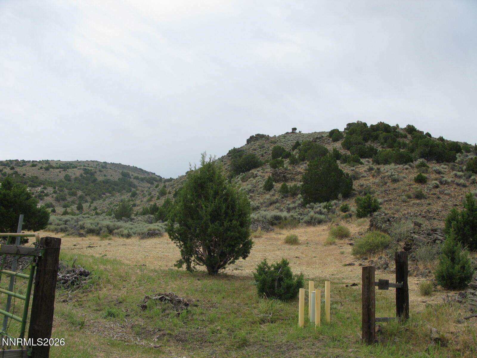 Image 3: IMG_0155