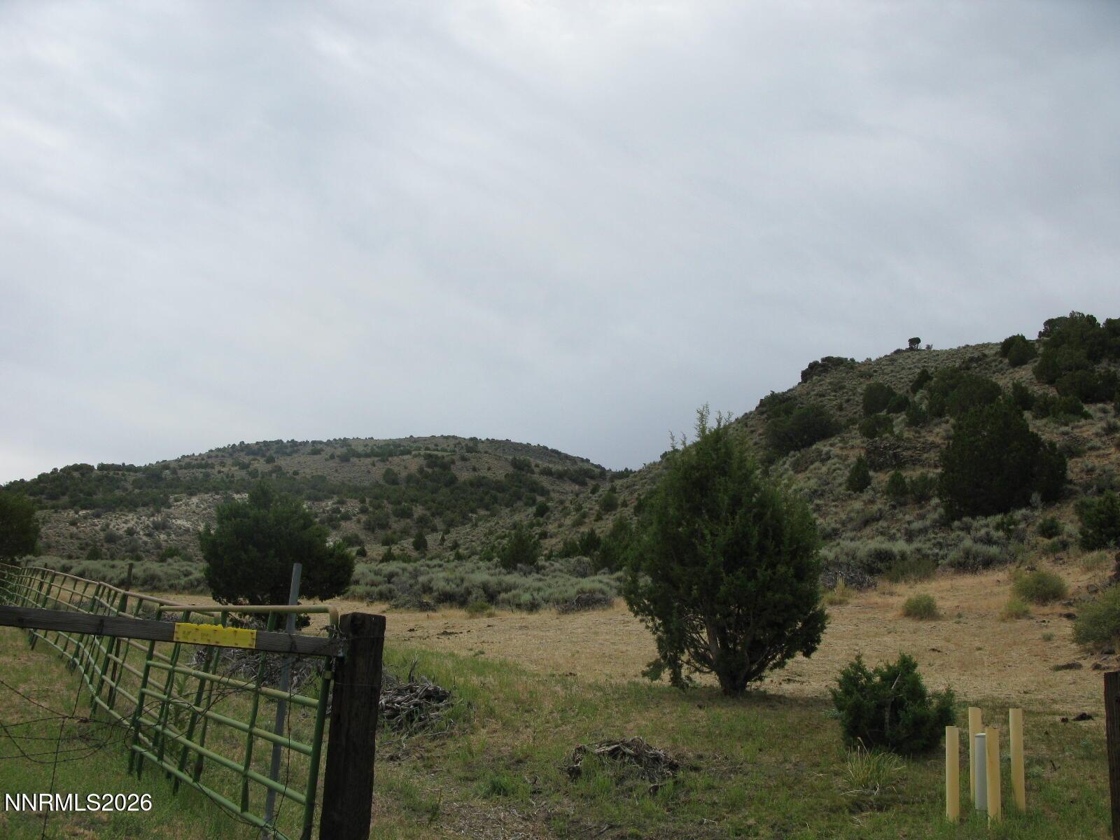 Image 4: IMG_0156
