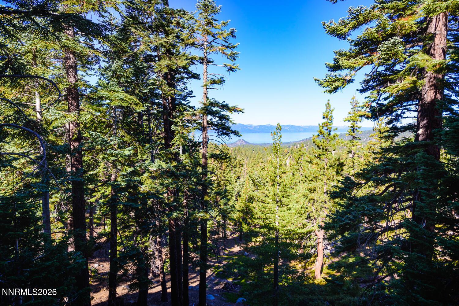 Image 2: 754 Milky Way Ct unit b-24