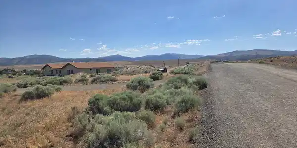 Image 2: juniper 4