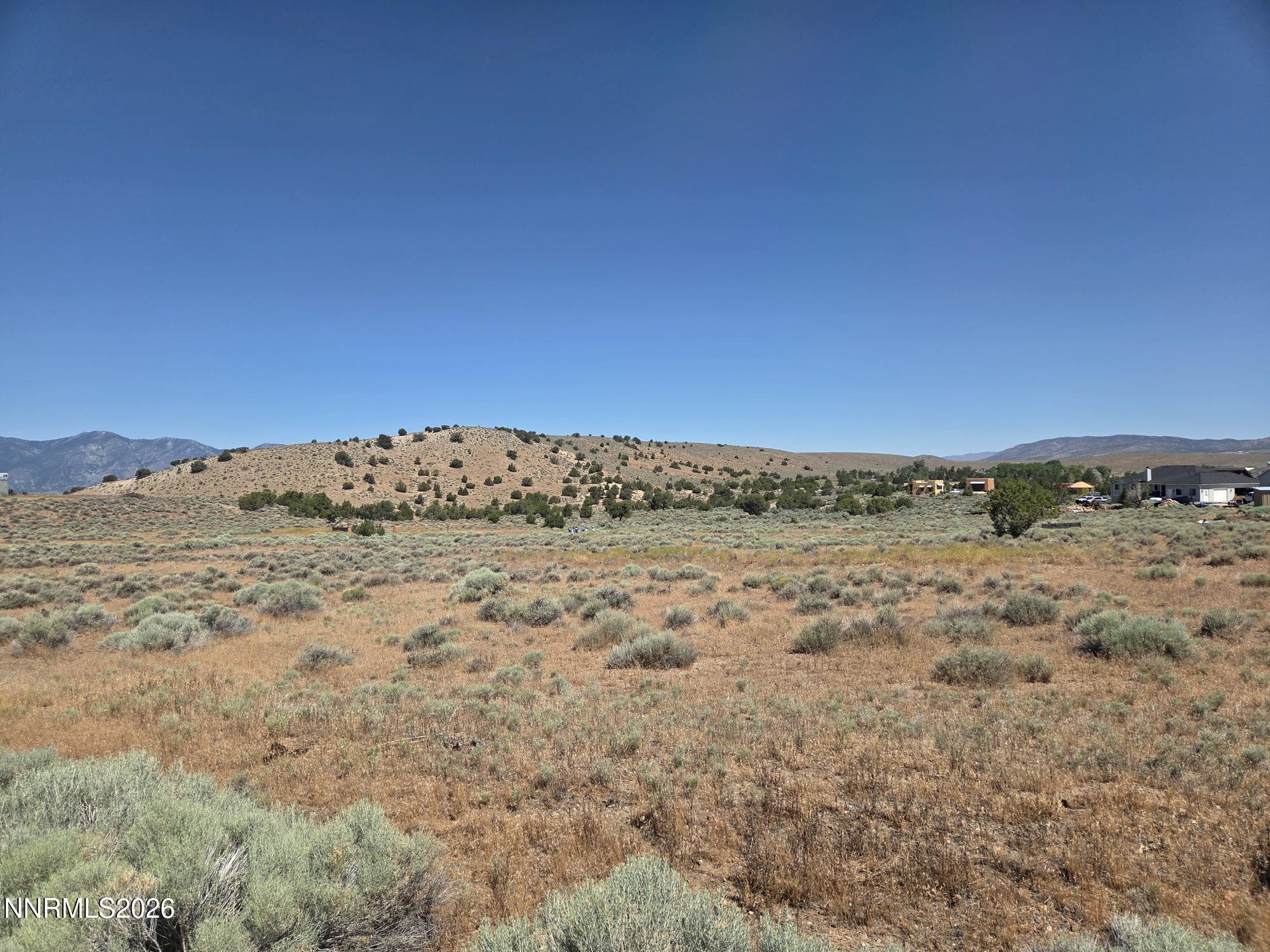 Image 3: Juniper 3