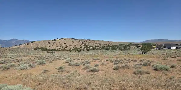 Image 3: Juniper 3