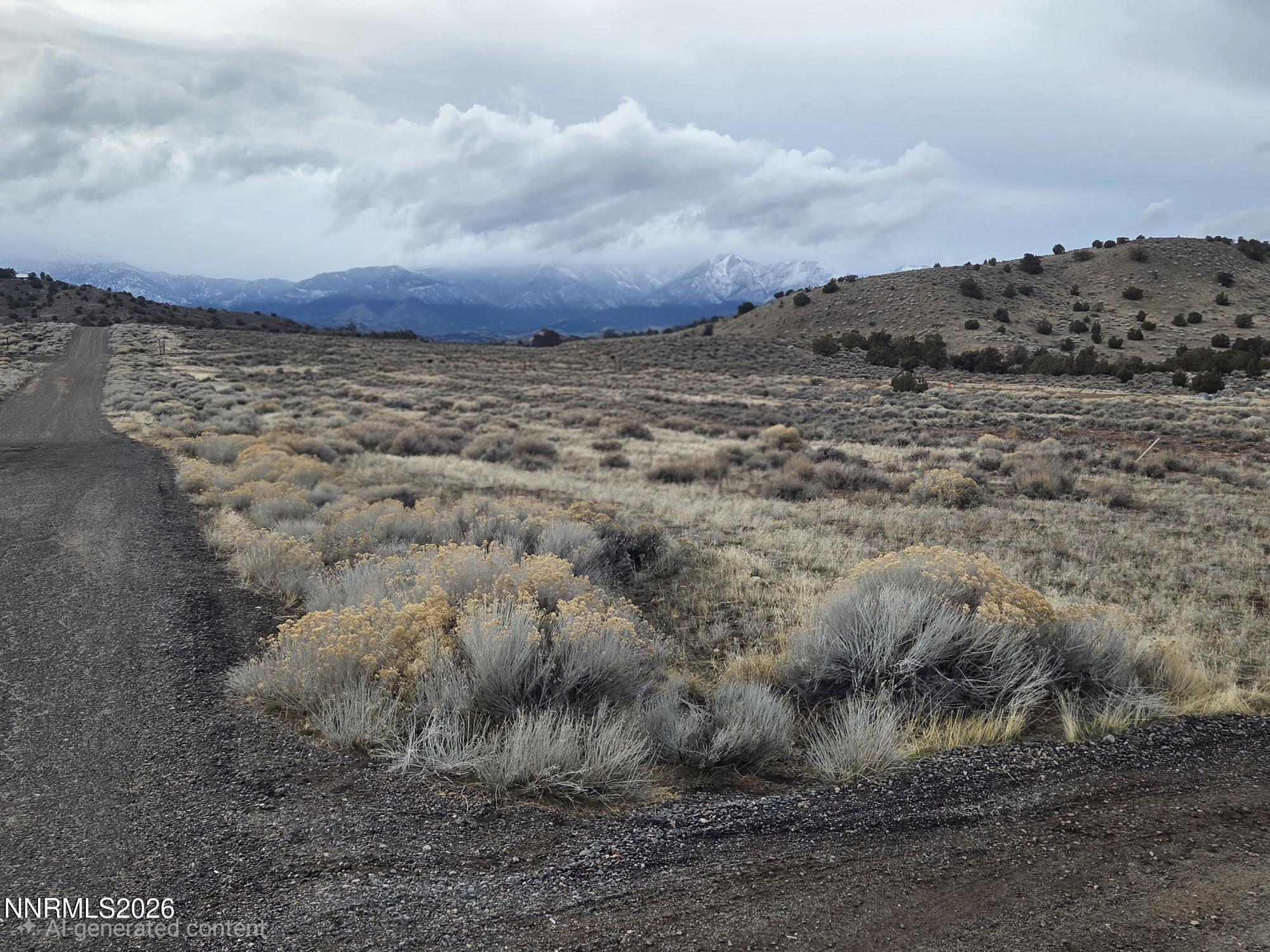 Image 4: Juniper winter