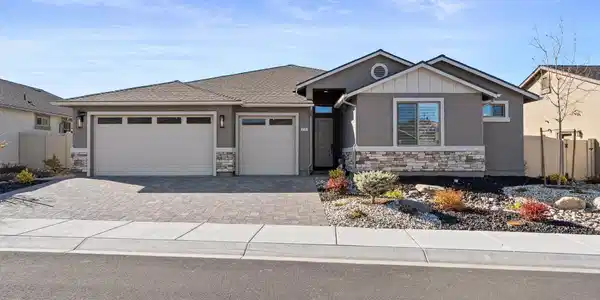 11167 Grazing Cattle Lane