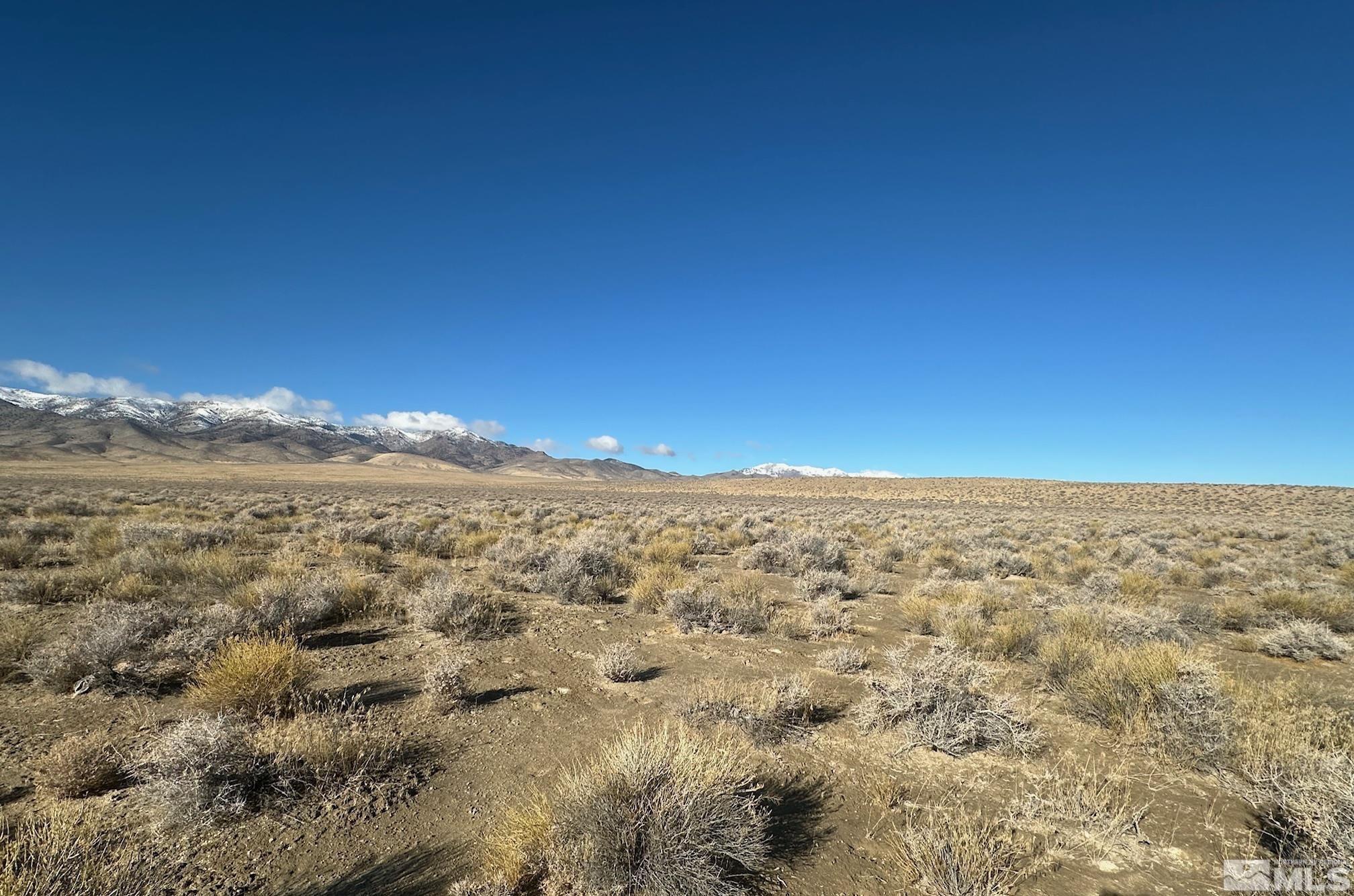 Image 4: Photo 4