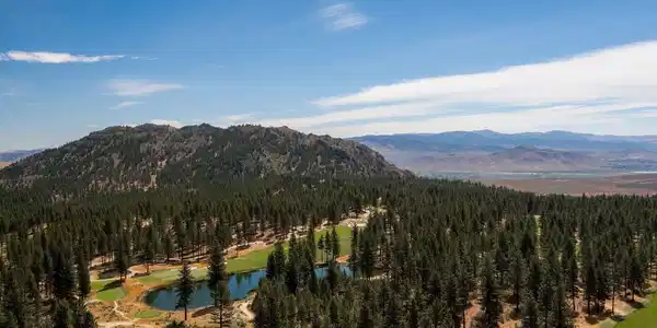 Image 4: Photo 4