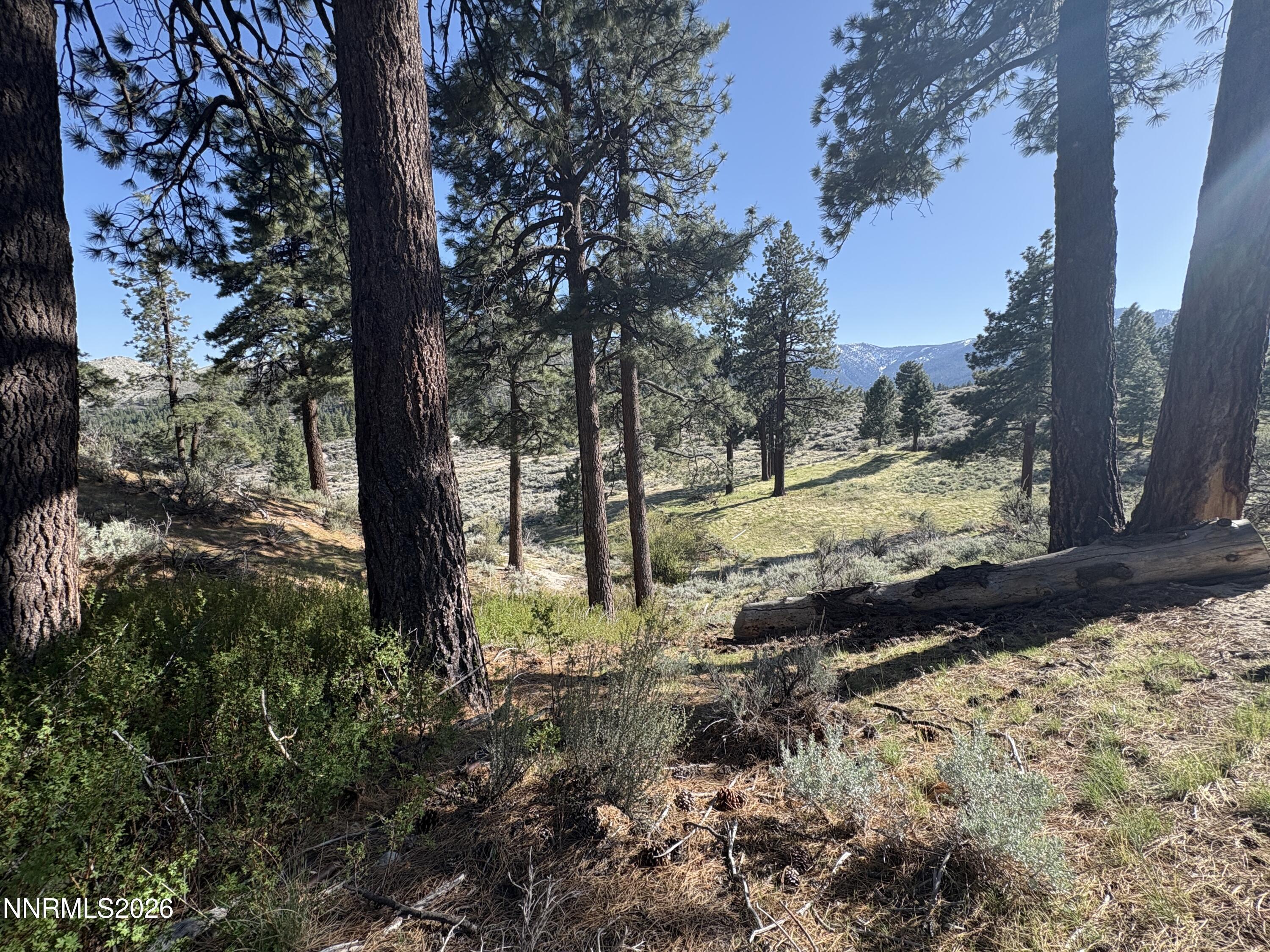Image 3: 5000 W Hwy 50 Spring Area