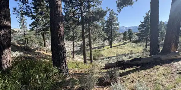 Image 3: 5000 W Hwy 50 Spring Area