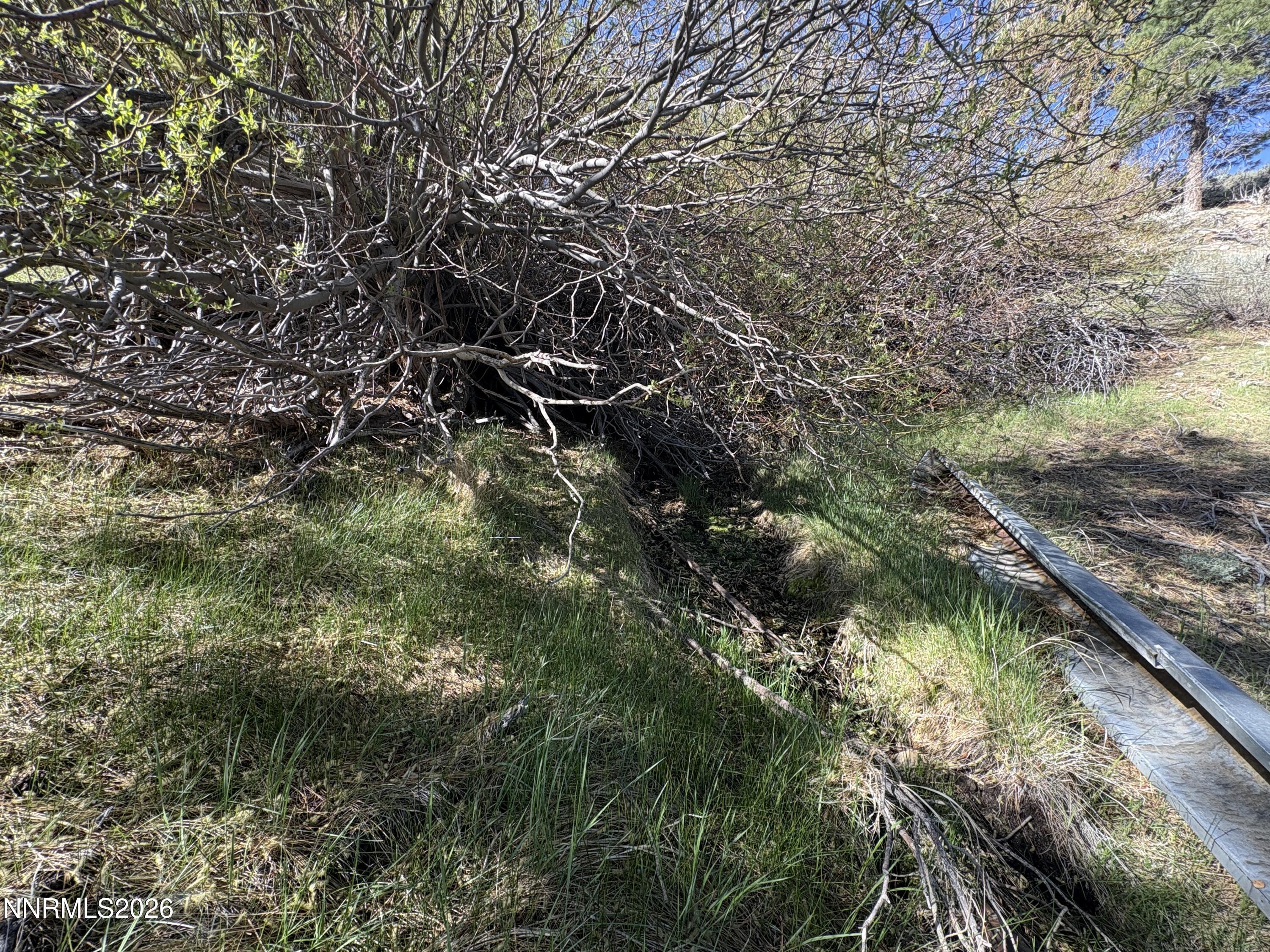 Image 4: IMG_9566