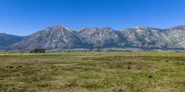 Image 2: 1195_nv-88-14