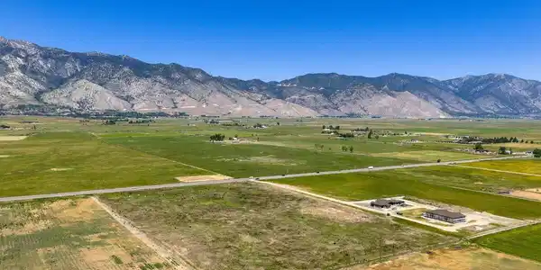 Image 4: 1195_nv-88-6