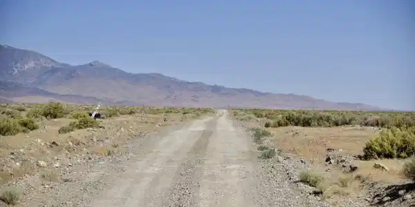 Image 2: BVV1