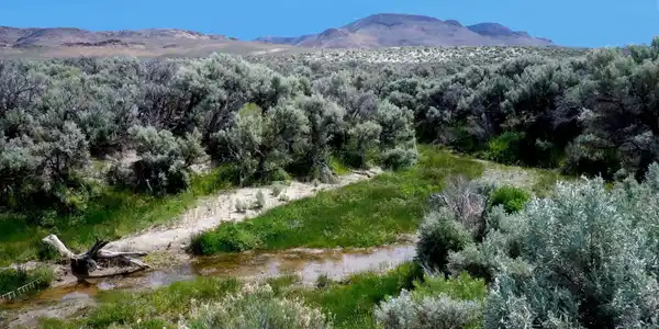 Image 2: Image-1
