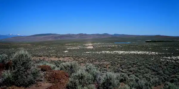 Image 4: Image-4