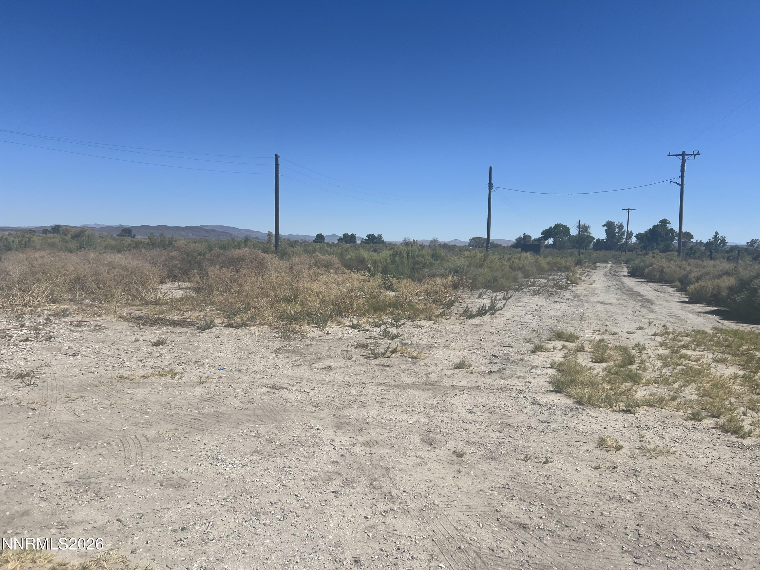 Image 2: IMG_7229