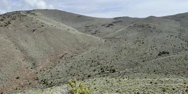 0000 Microwave Road
