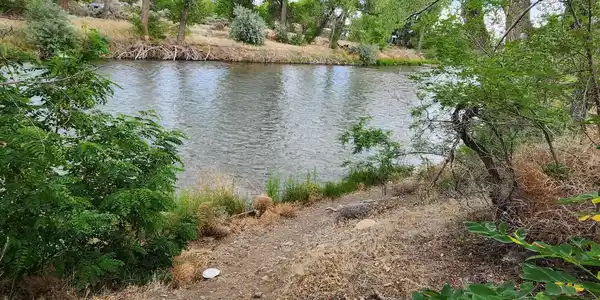 Image 4: 20250609_163457