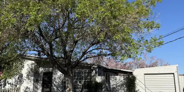 11303 Green Mountain Street