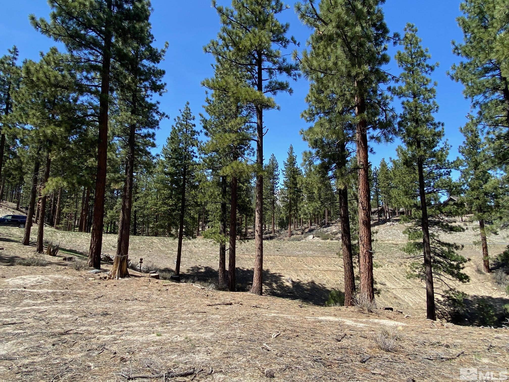 Image 1: Photo 1