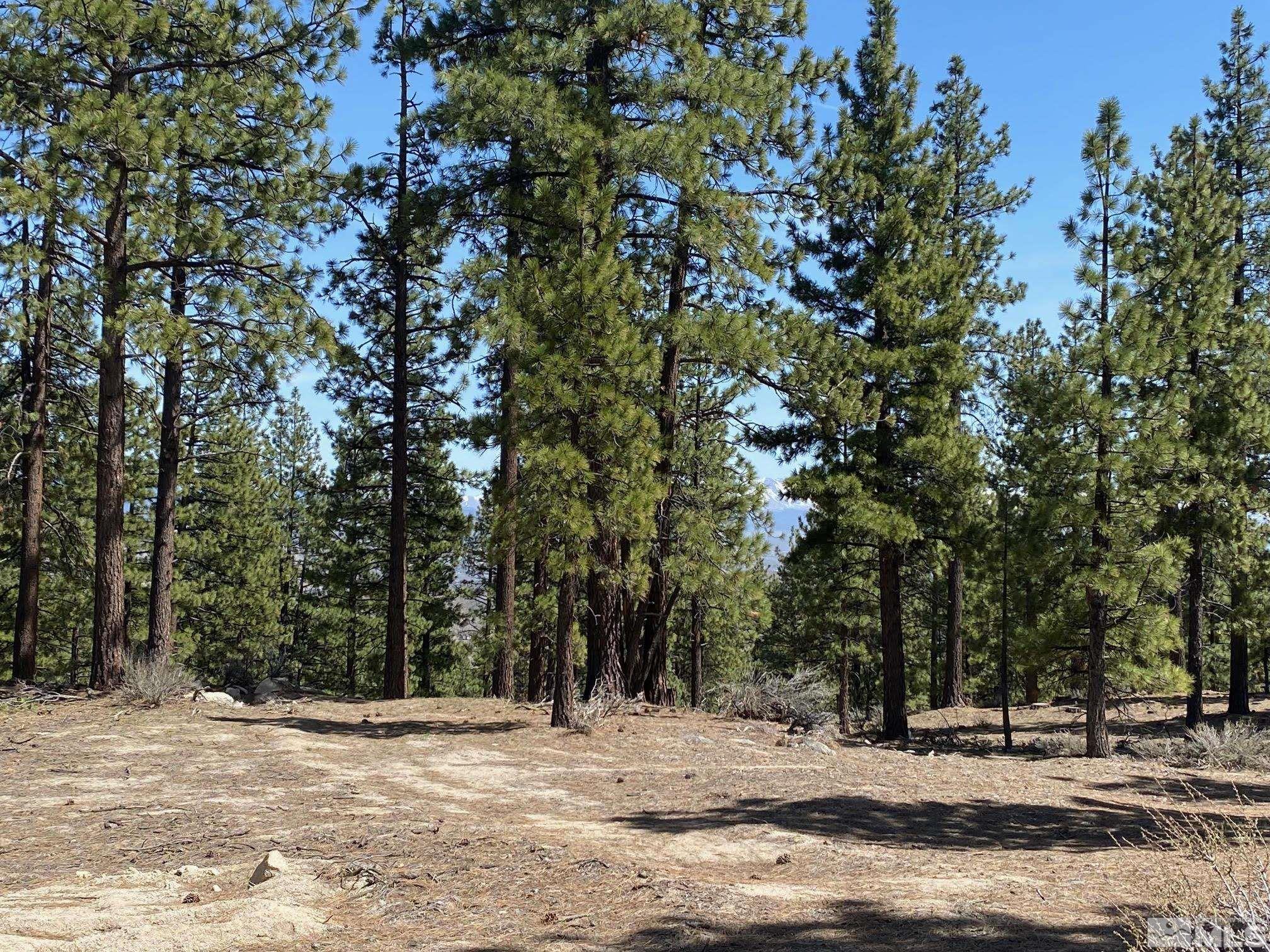 Image 3: Photo 3