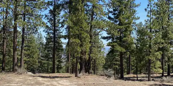 Image 3: Photo 3