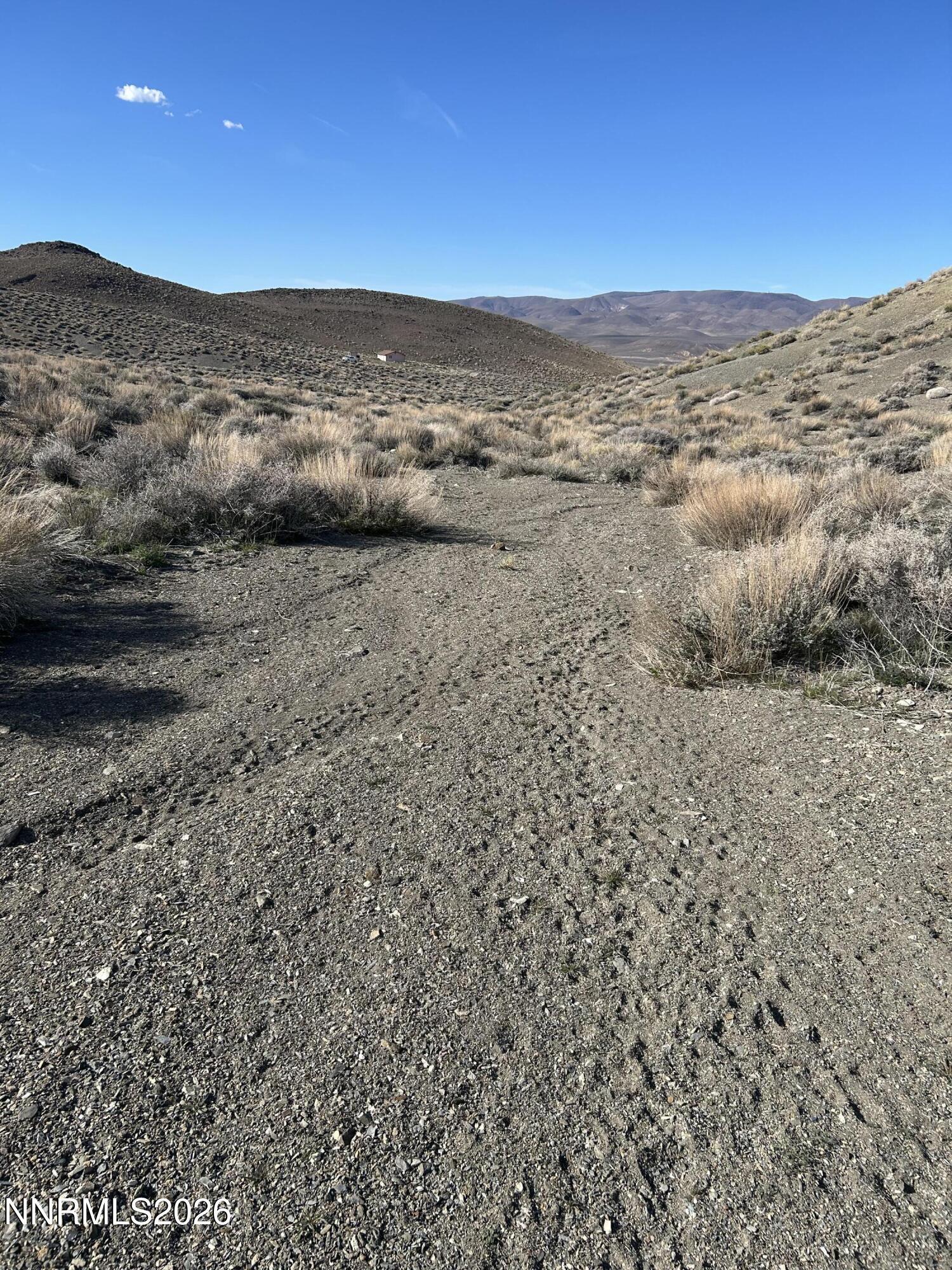 Image 3: IMG_1472