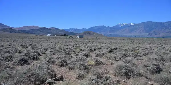 Image 4: agrillo south