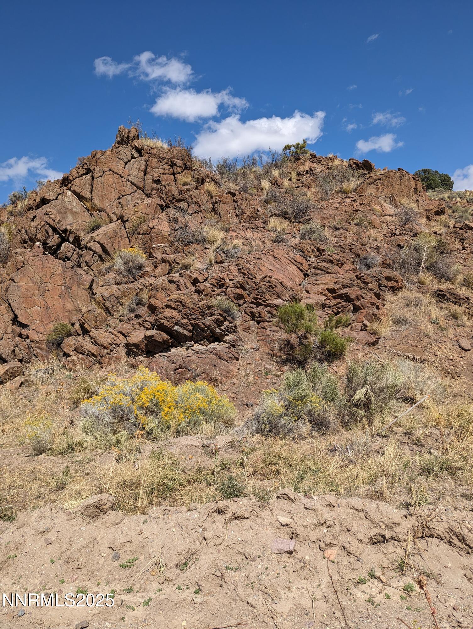 Image 2: PXL_20230921_212139918