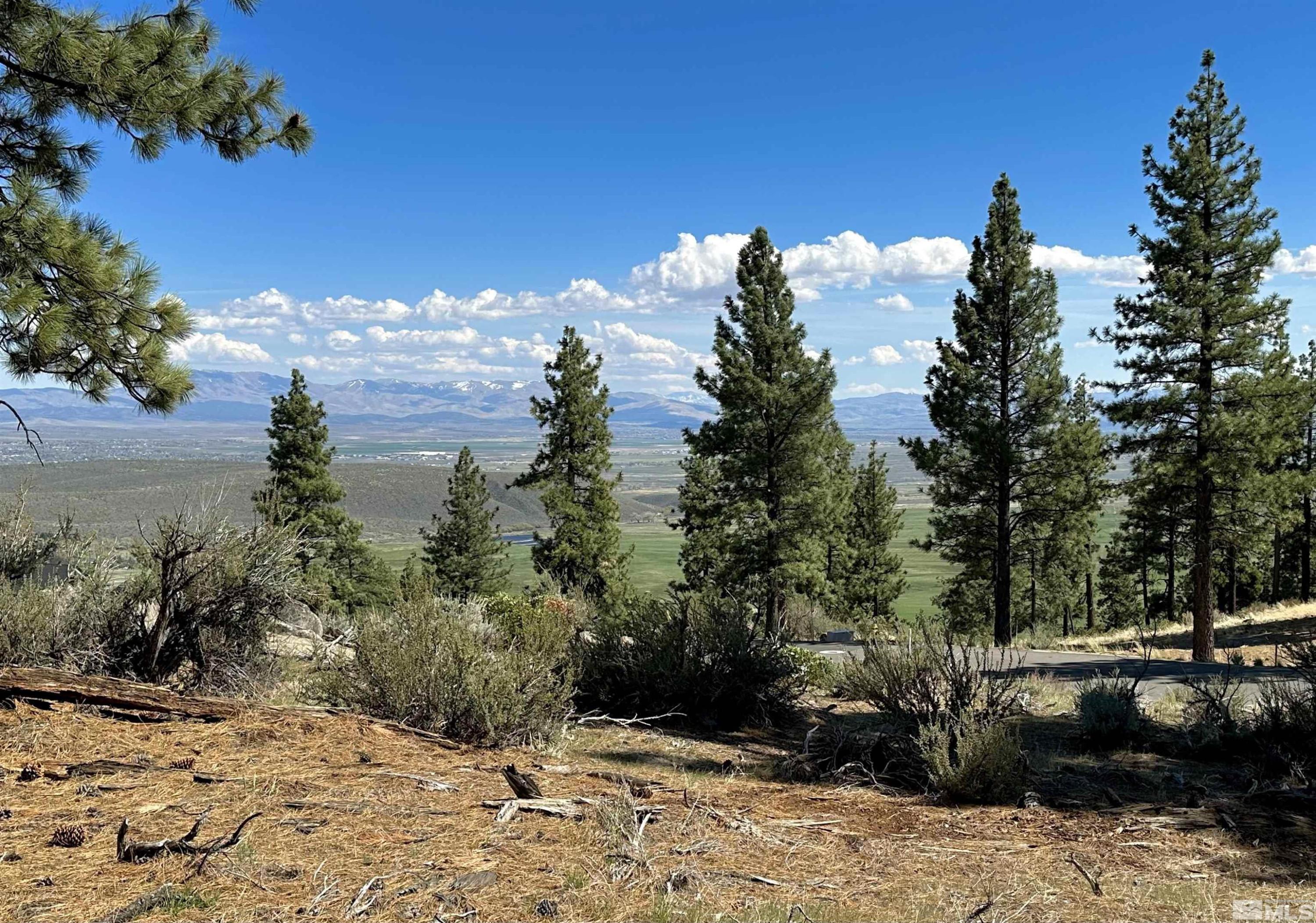 Image 1: Photo 1