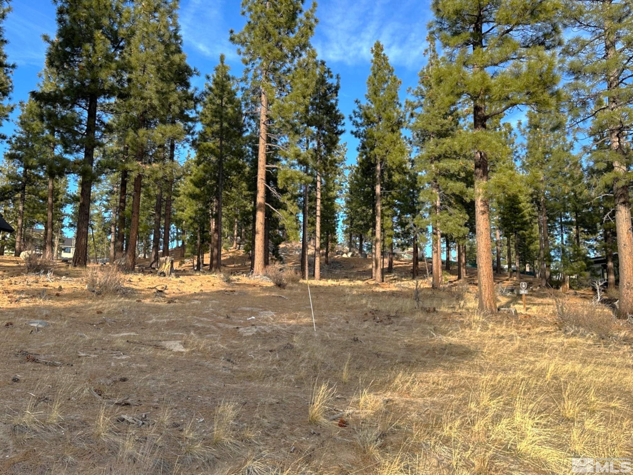 Image 4: Photo 4