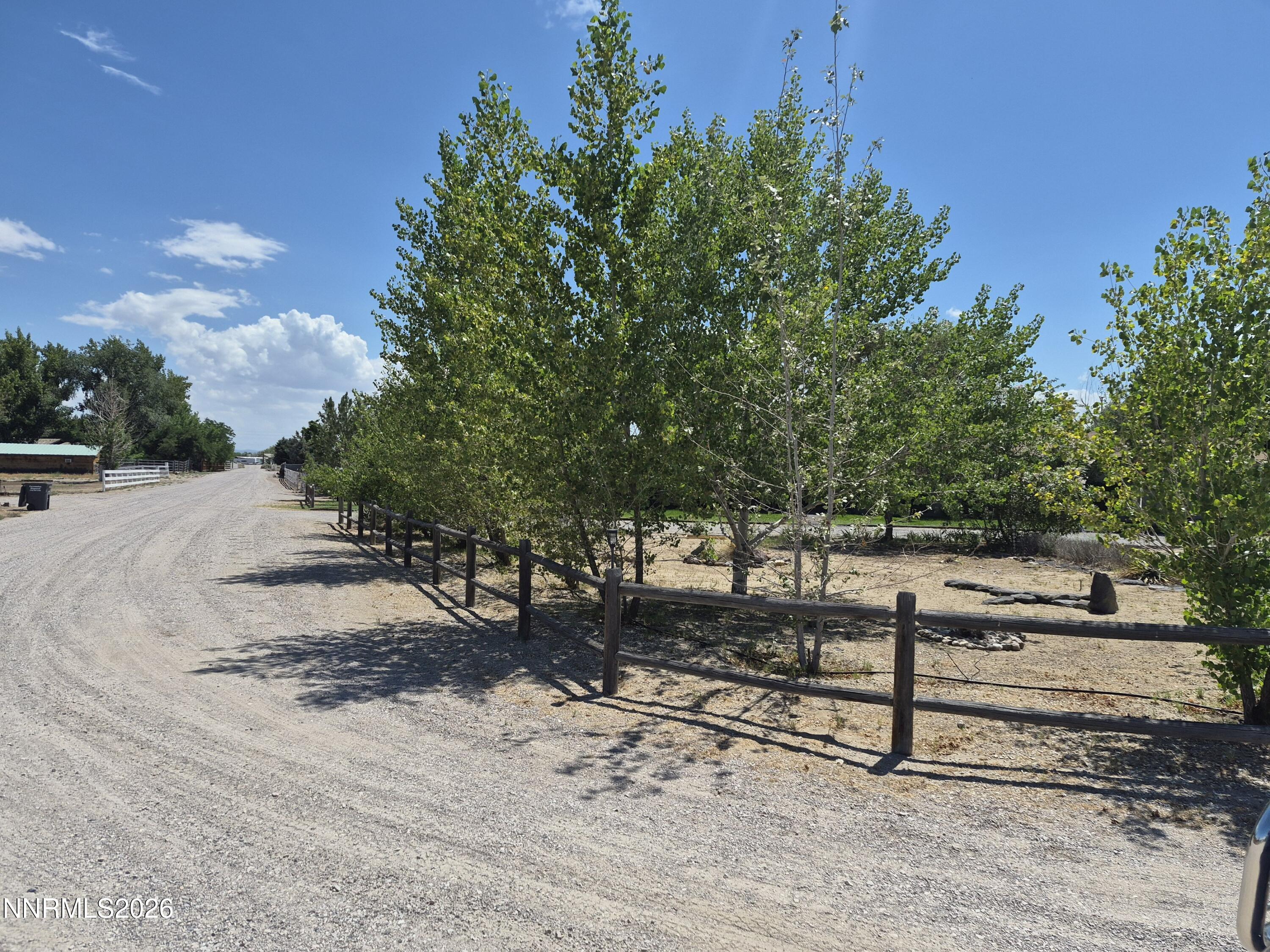 Image 2: rice rd with trees 26