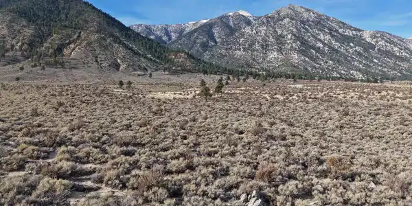 1 Foothill Road