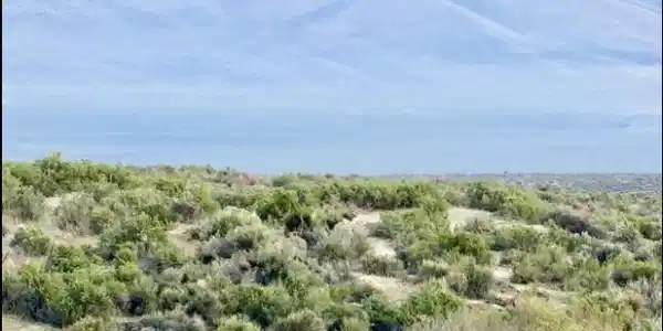 Image 2: pi1
