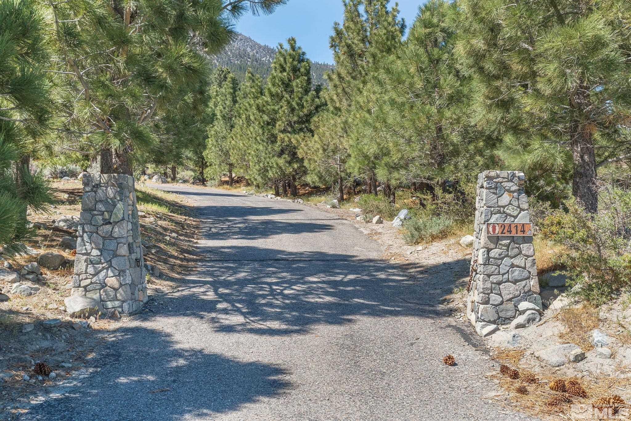 Image 3: Photo 1