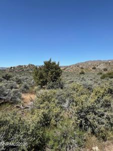 1325 Antelope Valley Road