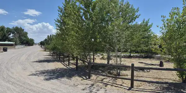 Image 3: rice rd with trees 26