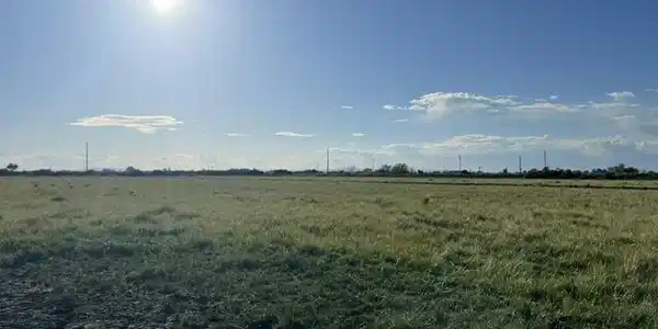 40 Acres on Triple E Lane