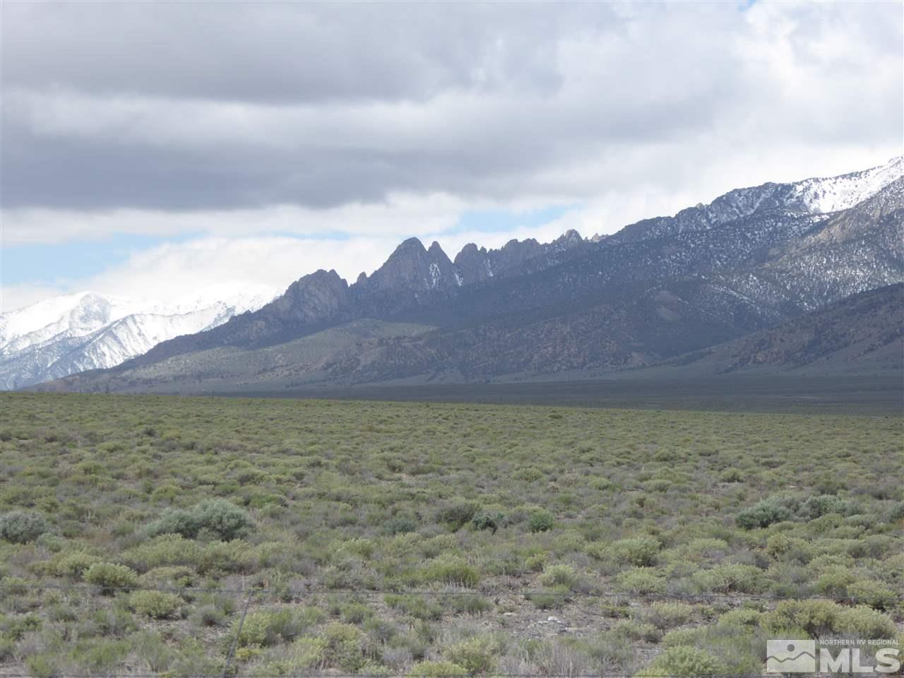 Image 3: Photo 3