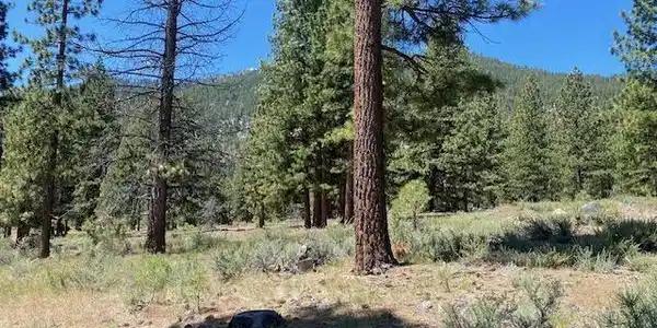 Image 2: Homesite 94