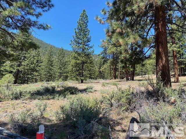 Image 3: Homesite 94