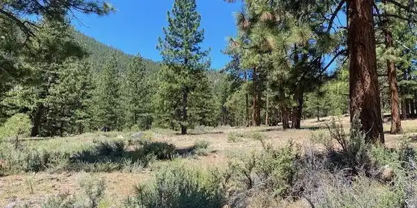 Image 3: Homesite 94