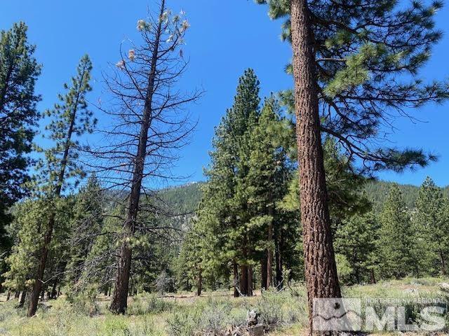 Image 4: Homesite 94