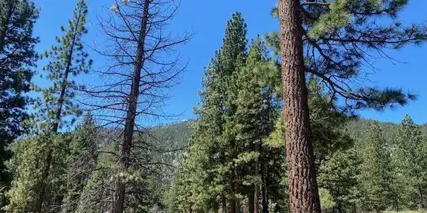 Image 4: Homesite 94