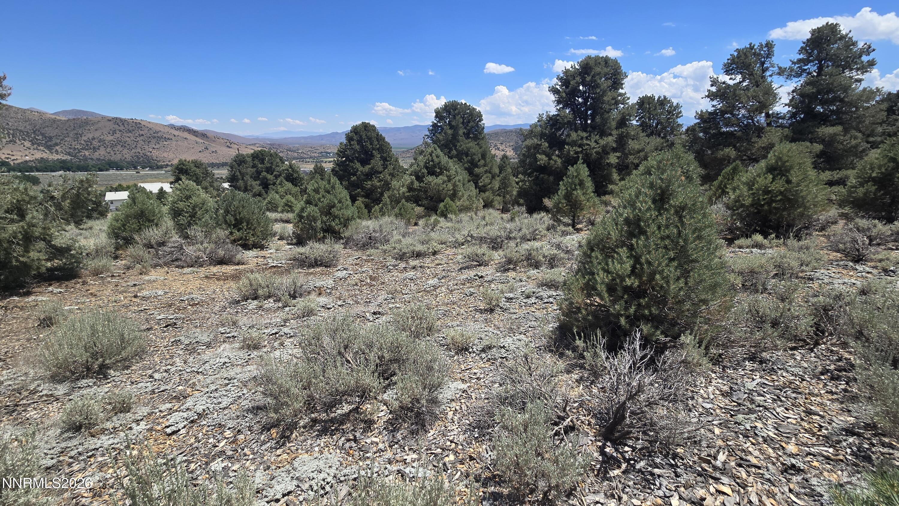 Image 3: 20260722_124528