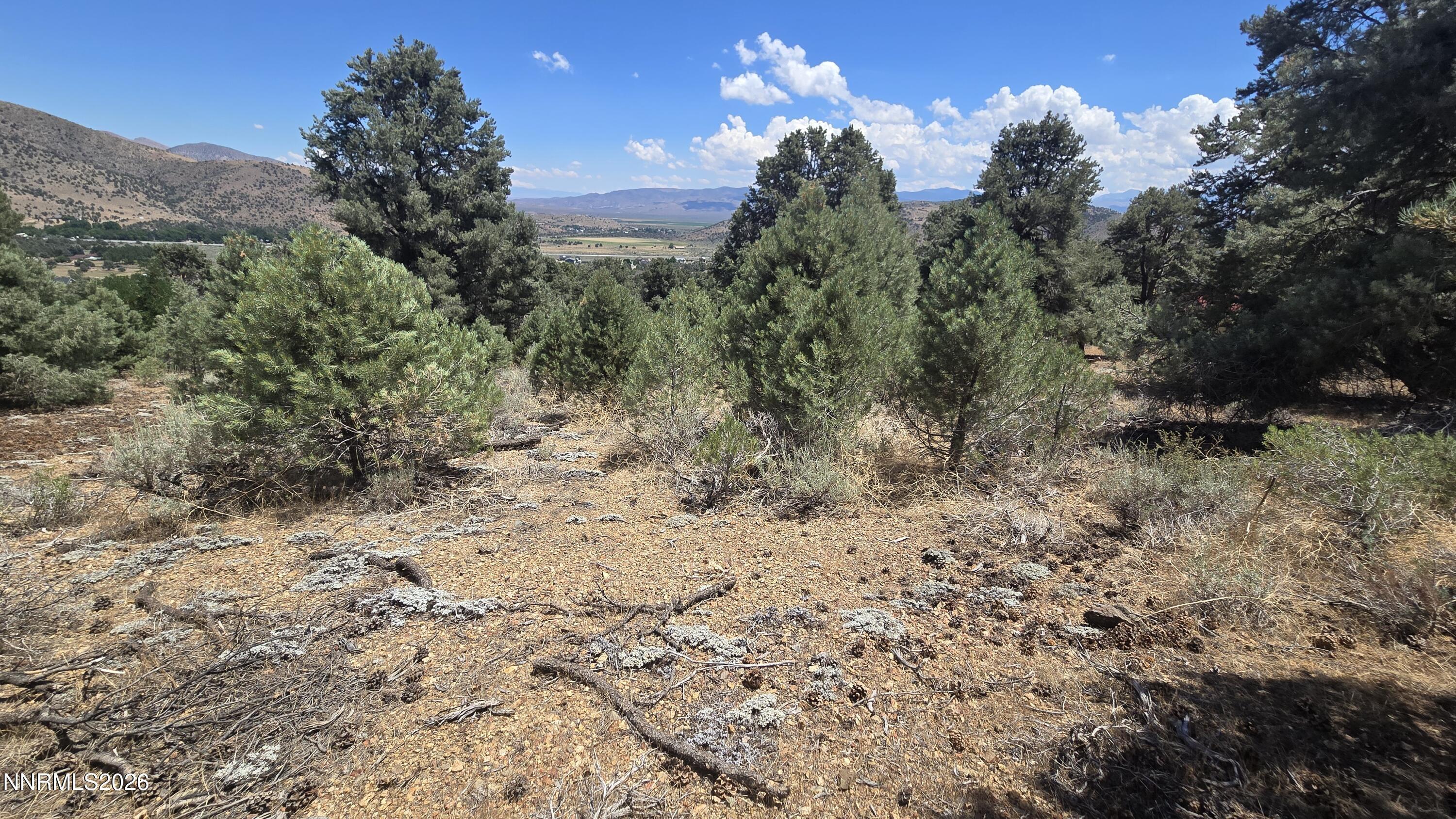 Image 4: 20260722_130617
